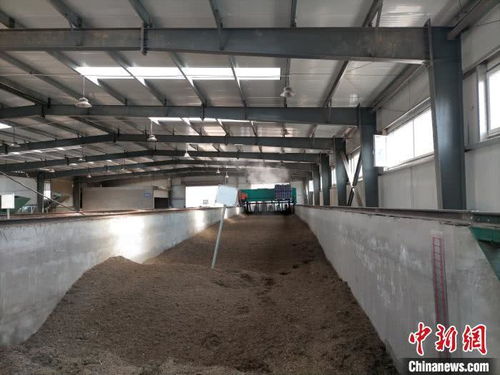 山西太原 園林垃圾資源化再利用，綠廢“變身”科創(chuàng)產(chǎn)品